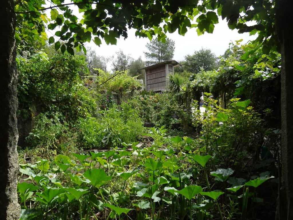 Quinta Das Delicias São Tiaguinho Exteriér fotografie